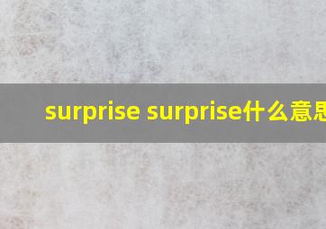 surprise surprise什么意思